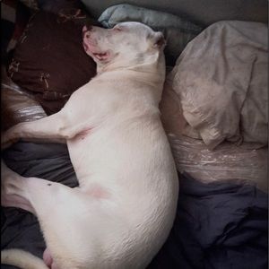 Meet your Posher, Sinaloa